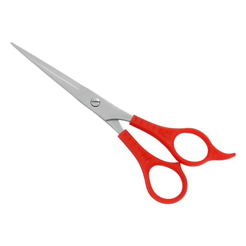 PLASTIC HANDLE SCISSORS